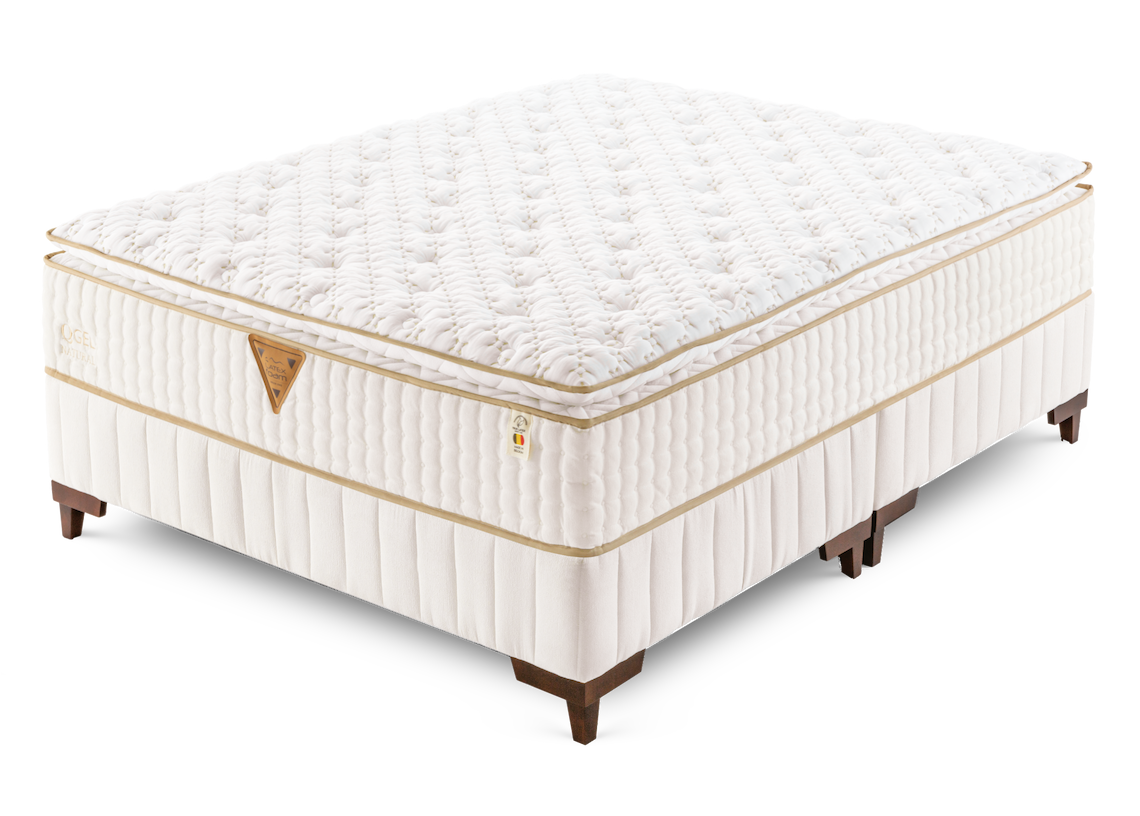 Captura de Tela 2024-07-08 às 17.15.27.png